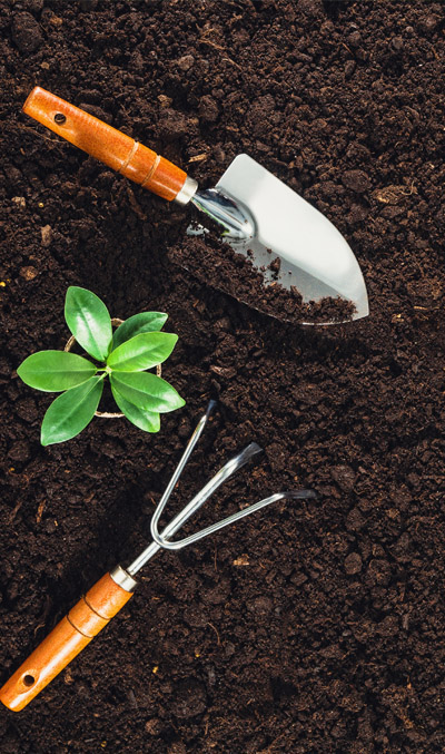 Gardening tools in soil